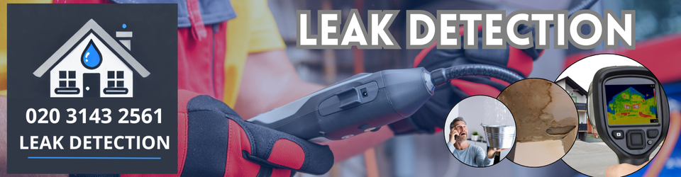 Canons Park Leak Detection