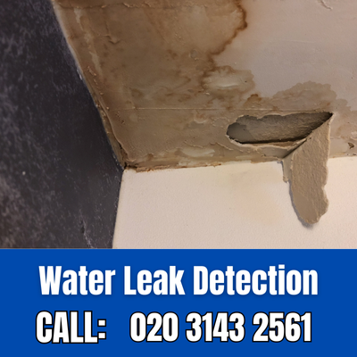 Expert Water Leak Detection Services in Canons Park | Canons Park Leak Detection